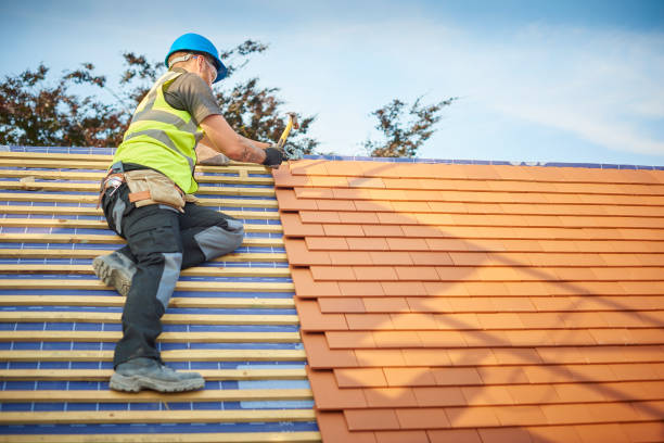 Best Metal Roofing Installation  in Manche Village, CA